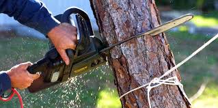 Lawn Irrigation Installation and Maintenance in Granite Hills, CA