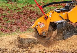 Tree and Shrub Care in Granite Hills, CA